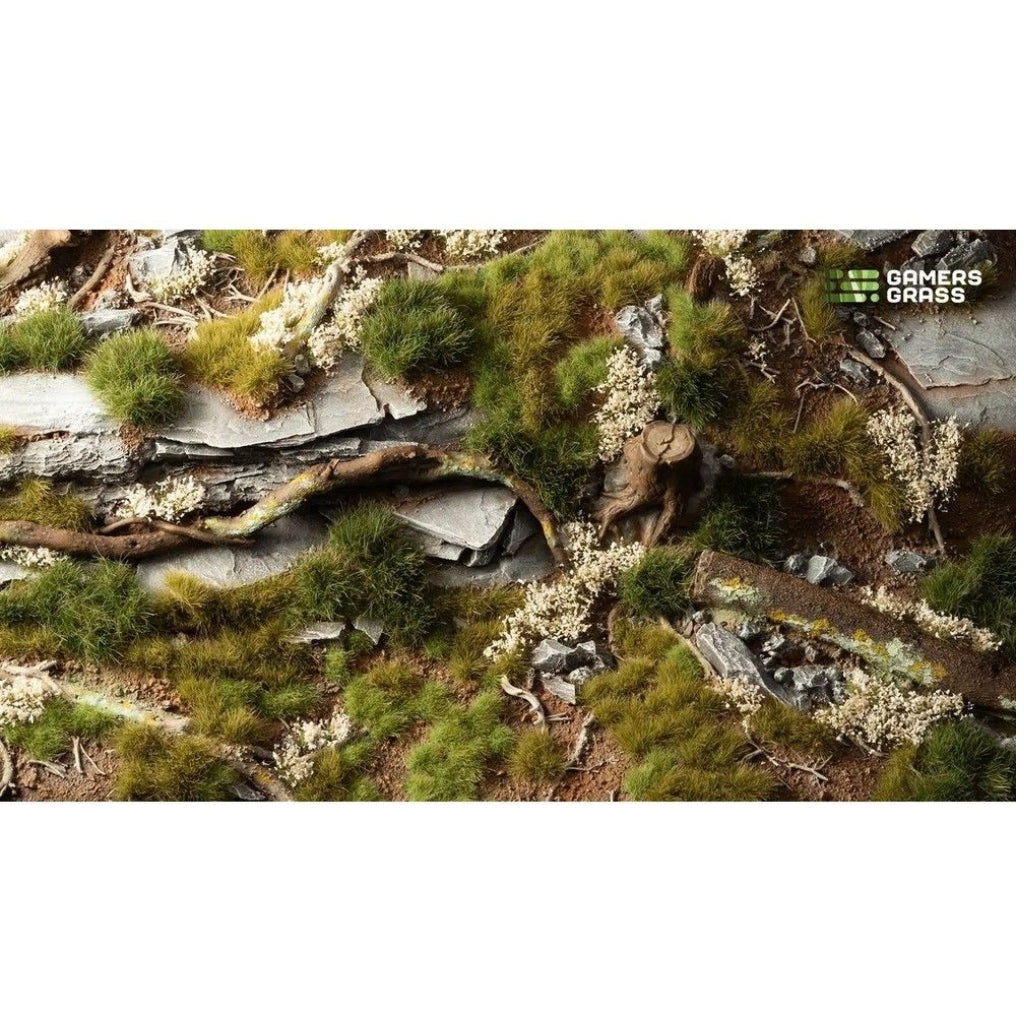 Gamers Grass - Box Sets - Grass Tuft Starter Box - Green