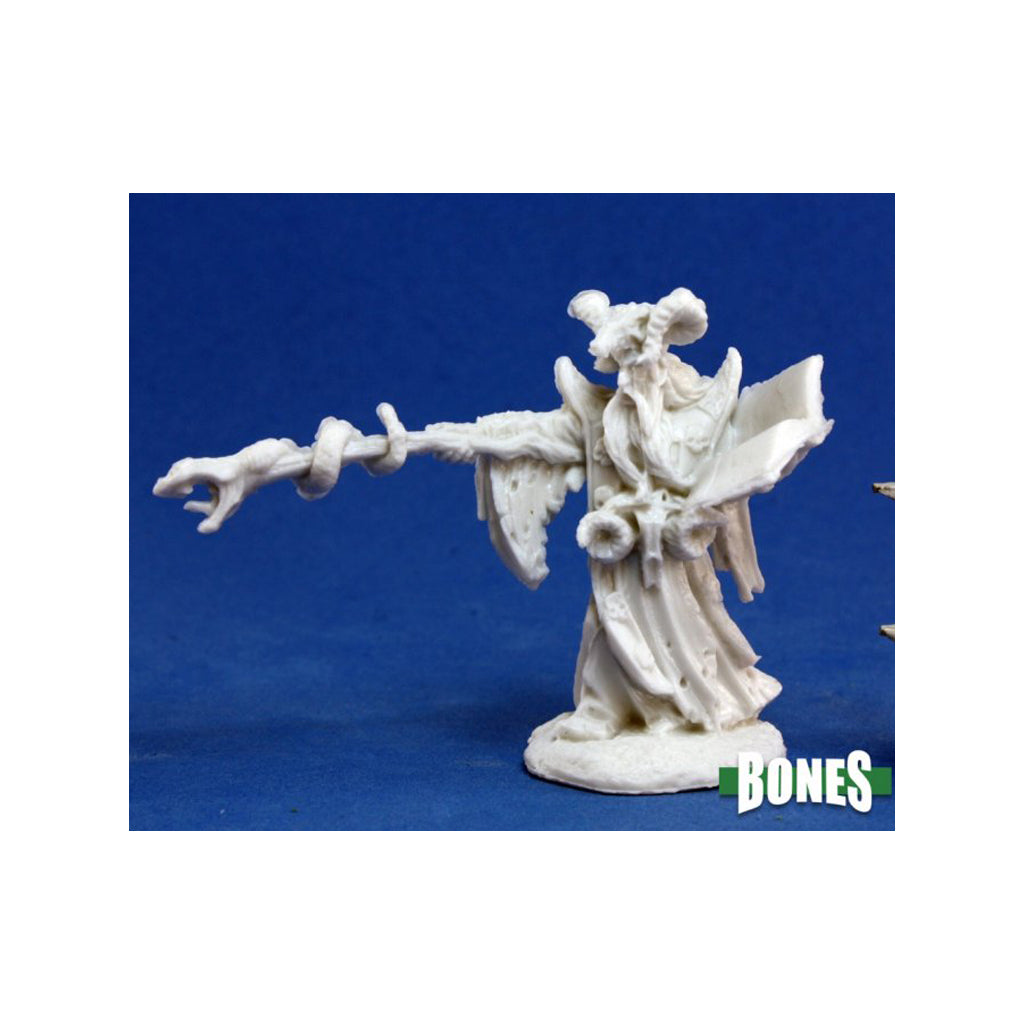 Reaper Bones - Leisynn, Mercenary Mage - 77174