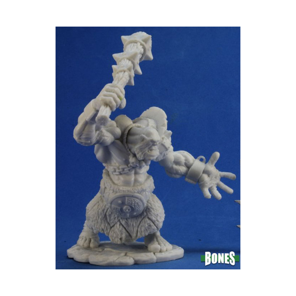 Reaper Bones - Hill Giant, Krug - 77313