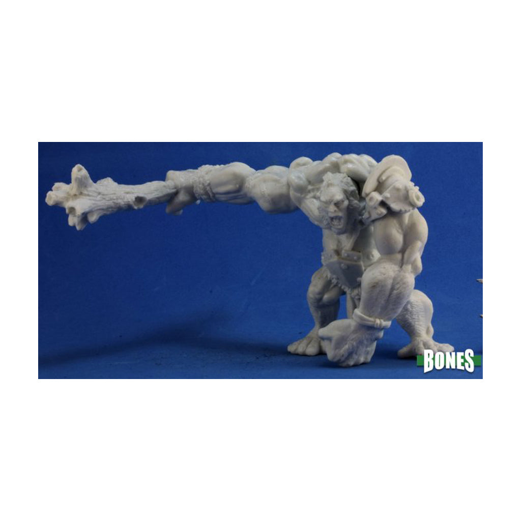 Reaper Bones - Golan Hill Giant