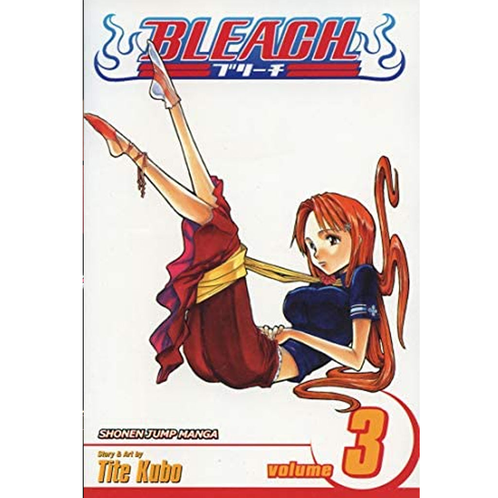 Bleach, Vol. 3